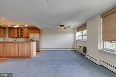 Radnor House unit 432, Bryn Mawr, PA 19010 - photo 6