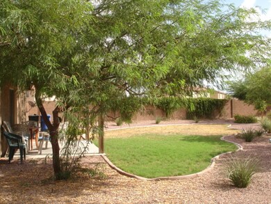 Backyard 2