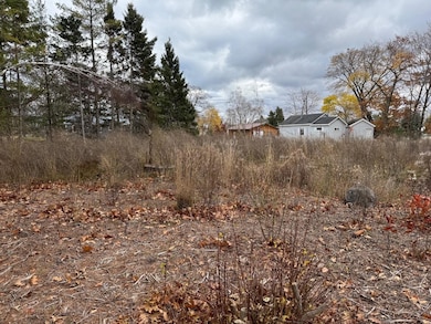 Lots 2 & 3 W Etherington St, MacKinaw City, MI 49701 - photo 7