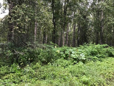 Well Wooded