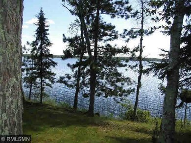 23871 Tabour Rd, Bigfork, MN 56628 - photo 6