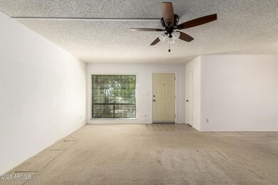 Spacious great room