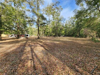 3993 284th Terrace, Branford, FL 32008 - photo 5