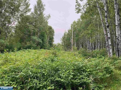 TBD Hwy 1, Tower, MN 55790 - photo 6