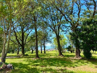 26 Kula Hwy unit C, Pukalani, HI 96768 - photo 5