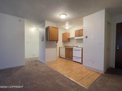 3400 Eureka St unit 314, Anchorage, AK 99503 - photo 4