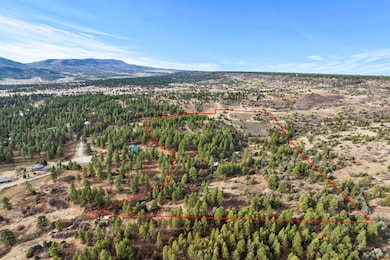 717 Zane Dr, Durango, CO 81303 - photo 5