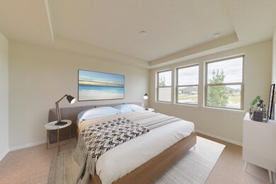 Tray Ceilings in Master Bedroom