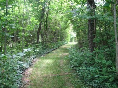 Other Path to Lake Ontario