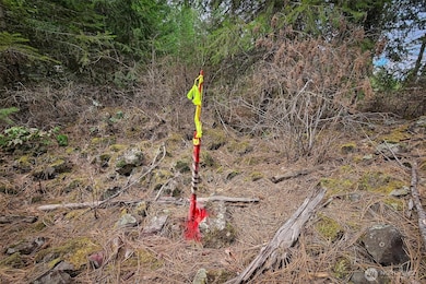 4700 E Deer Park Milan Rd, Chattaroy, WA 99003 - photo 7