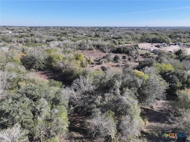 TBD, Yorktown, TX 78164 - photo 7