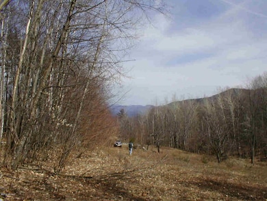 L20.2 Goldey Rd, Huletts Landing, NY 12841 - photo 3