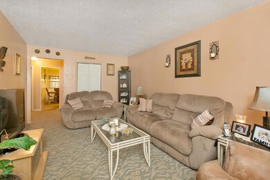 Living Room 1st View