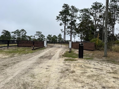 12991 SE 77 St, Morriston, FL 32668 - photo 3