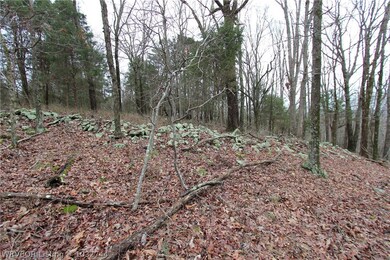 23400 Barr Rd, Winslow, AR 72959 - photo 5