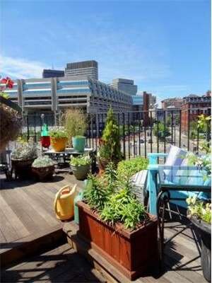 5 Stillman Place unit 4, Boston, MA 02113 - photo 6