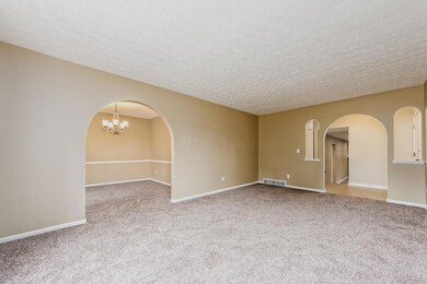 Living Room New Carpet