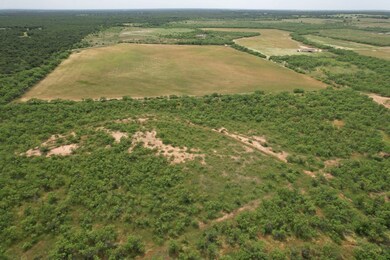 Tbd Fm 600, Anson, TX 79501 - photo 5