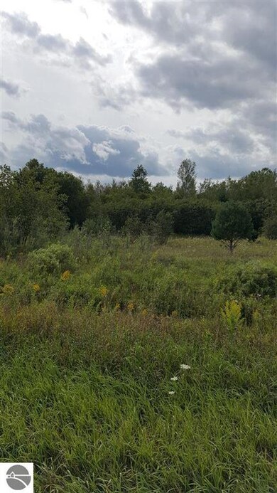 0 Turtle Rd, National City, MI 48748 - photo 7