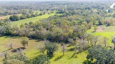 3480 County Road 310, Brazoria, TX 77422 - photo 4