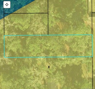 XX Merwyn Dr, Crawfordville, FL 32327 - photo 4