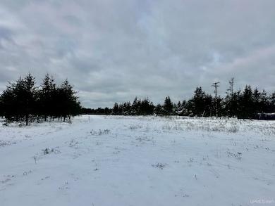 TBD Airfield Rd, Gwinn, MI 49841 - photo 3