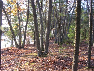 Lot 4 CP S Ashburnham, Westminster, MA 01473 - photo 5