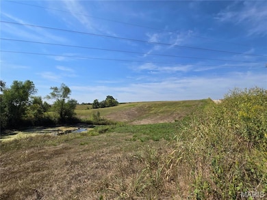 19867 Highway C, Unincorporated, MO 63775 - photo 7