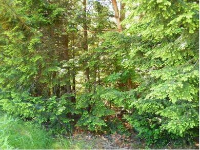 0 Route # 124~buckfield Rd unit 1141549, Hebron, ME 04238 - photo 7