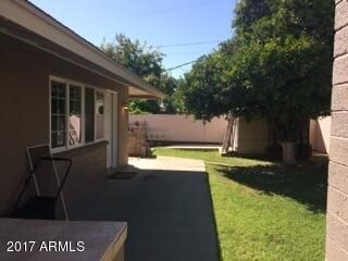 Back Yard 2