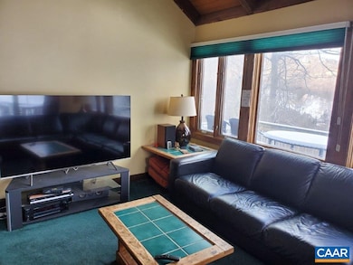 16 Shagbark Ln, Wintergreen Resort, VA 22967 - photo 3