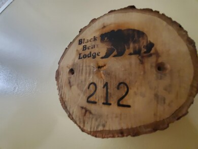 23 Black Bear Rd unit 212, Waterville Valley, NH 03215 - photo 2