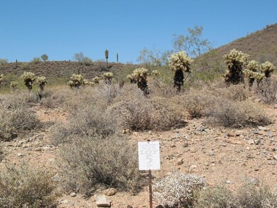 9 Lot 5 North
