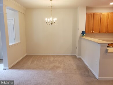 8732 Green Field Ct, Odenton, MD 21113 - photo 4