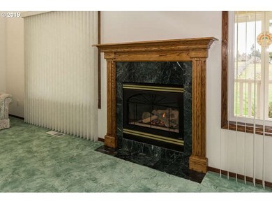 Fireplace Gas