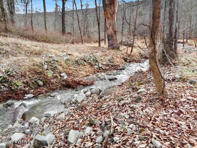 5 Blossom Rd, Lackawaxen, PA 18435 - photo 6