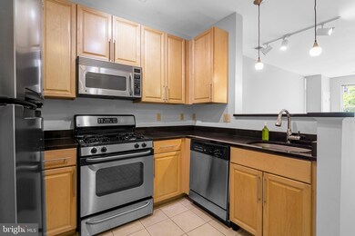 Silverton Condominiums, Silver Spring, MD 20910 - photo 6