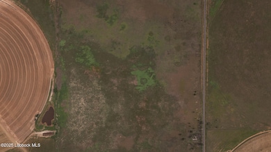 DJI_20250515093907_0146_D