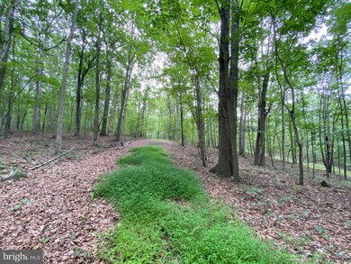 Lot 3 Independence Ln, District 1, VA 22844 - photo 3