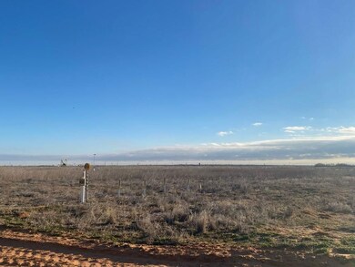 0, Loop, TX 79342 - photo 6