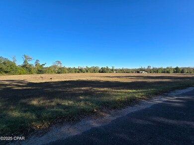 0000 Texas St, Alford, FL 32420 - photo 4