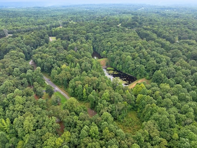 213 Jason Hollow Rd, Cedar Grove, TN 38321 - photo 2