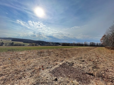 443 S Branch Rd, Coudersport, PA 16915 - photo 4