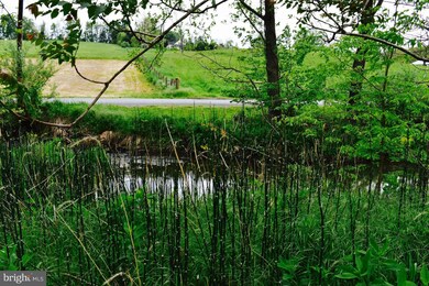 800 Country Brook Rd, Toms Brook, VA 22660 - photo 6