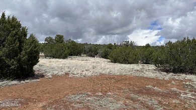 Mixture of grasses and junipers