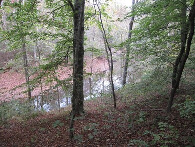View Of Butcher's Creek