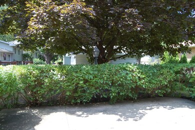 1009 Hemlock Ln, Naperville, IL 60540 - photo 5