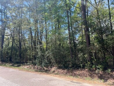 TBD Woodlane A Block 2 Lot 10, Splendora, TX 77372 - photo 5