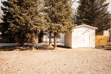 Backyard1