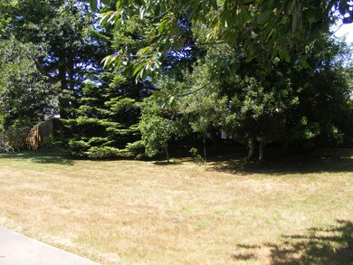 Rear Yard